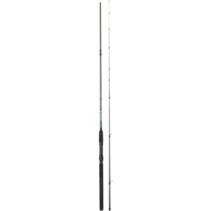SPRO Spartan Picker Rod