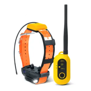 DOGTRA Pathfinder2