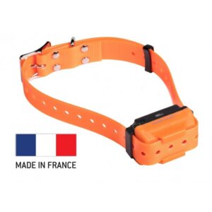 REMOTE TRAINING Canicom R RECHARGEABLE DOG TRAINING COLLAR