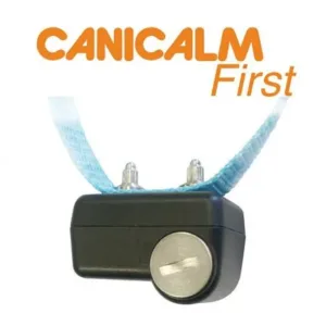 NUM AXES CANICALM FIRST